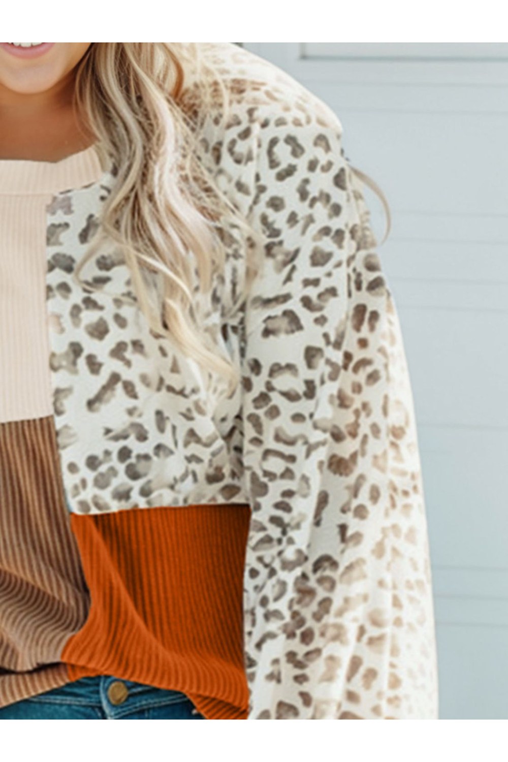 Plus Size Color Block Leopard Round Neck Top Fitggins