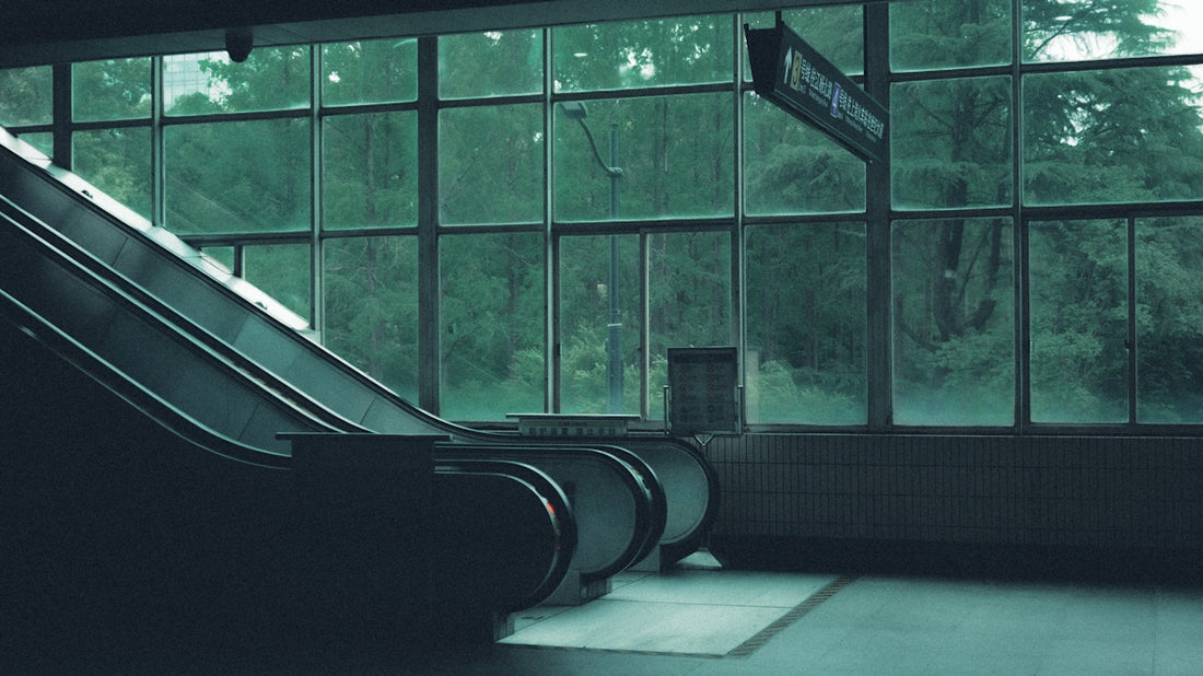 Escalator in a modern building with forest view.