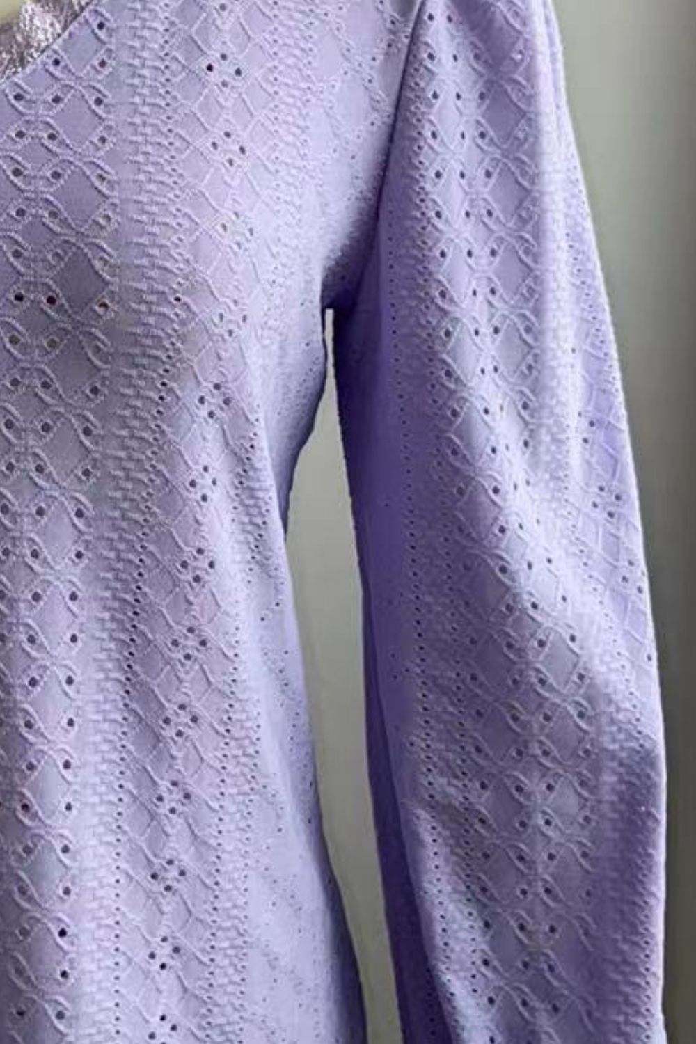 Eyelet V-Neck Flounce Sleeve Blouse Fitggins