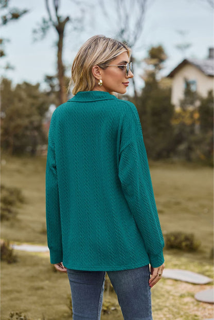 Collared Neck Cable-Knit Long Sleeve Blouse Fitggins