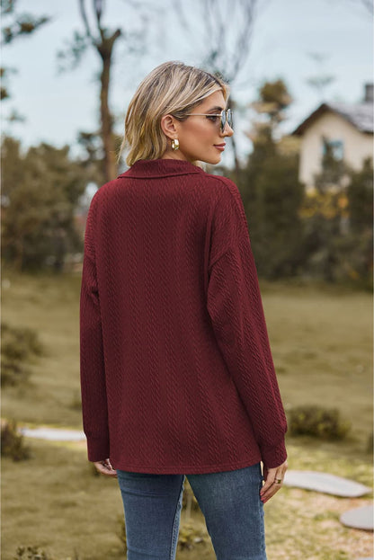 Collared Neck Cable-Knit Long Sleeve Blouse Fitggins