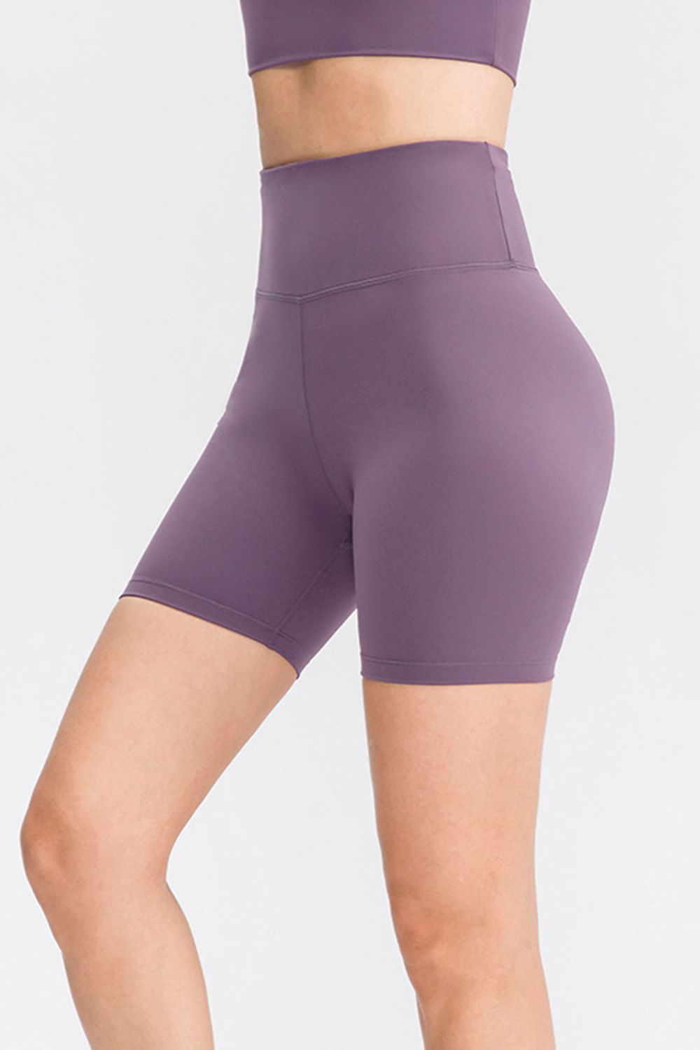 Wide Waistband Sports Shorts Mauve Fitggins