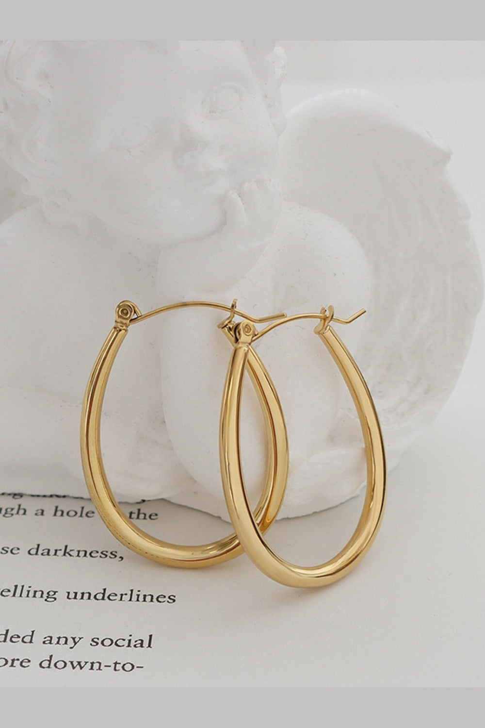 18K Gold-Plated Titanium Steel Earrings - Earrings - FITGGINS