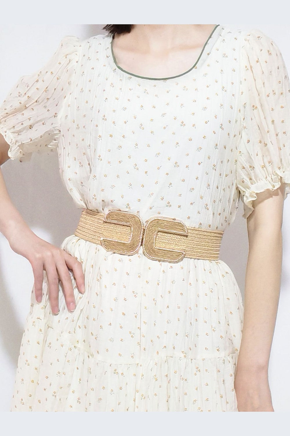 Wide Braid Belt - Belt - FITGGINS