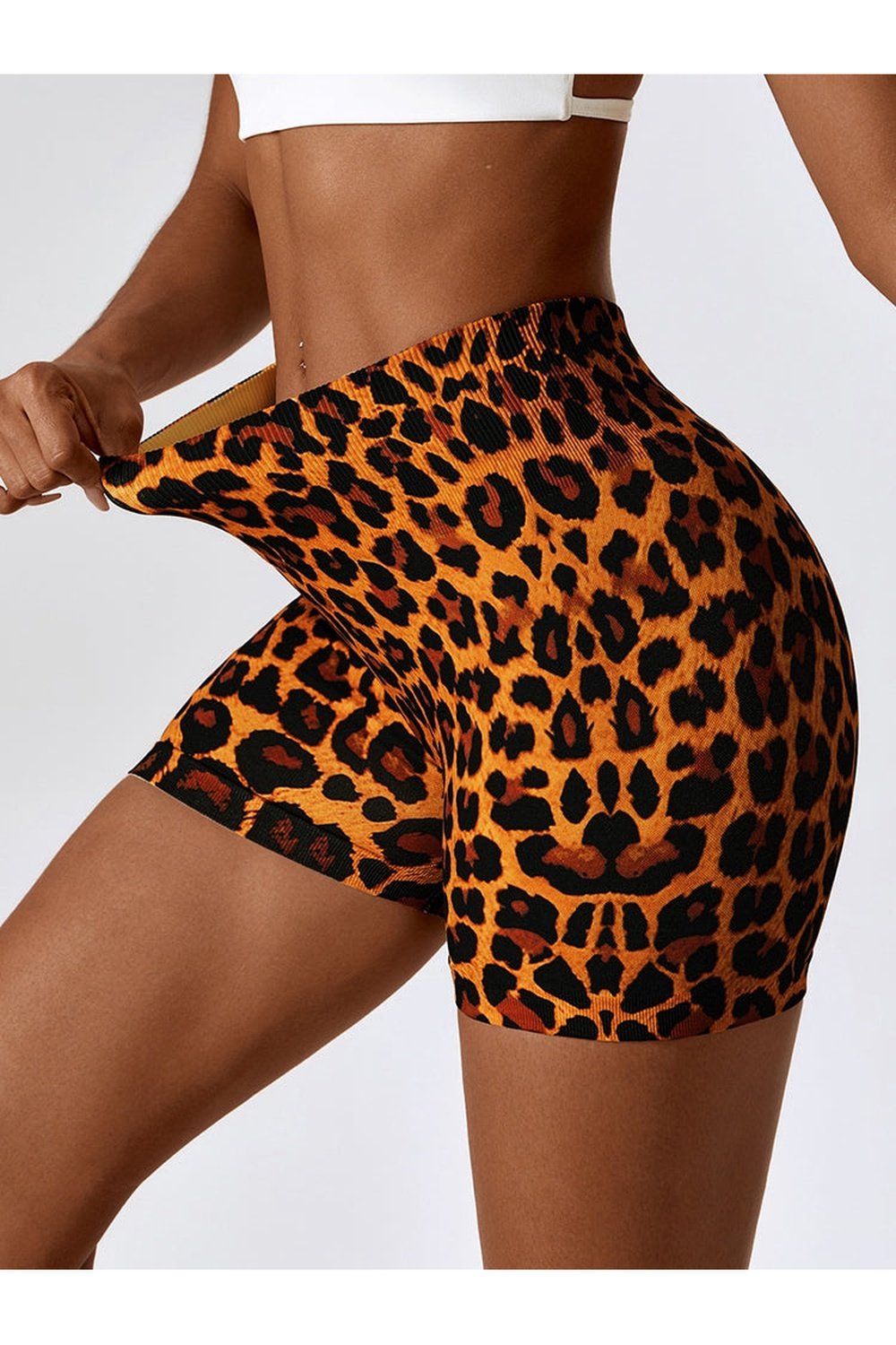 Leopard Print Wide Waistband Sports Shorts - Short Leggings - FITGGINS