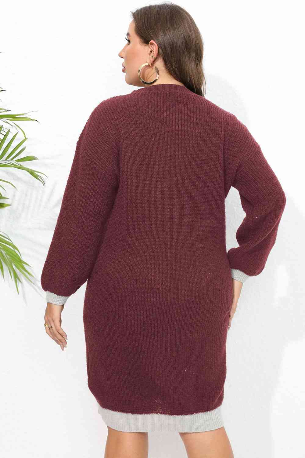 Plus Size Long Sleeve Sweater Dress - Sweater Dresses - FITGGINS
