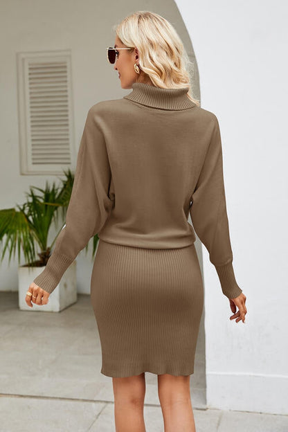 Ribbed Mock Neck Long Sleeve Dress - Sweater Dresses - FITGGINS