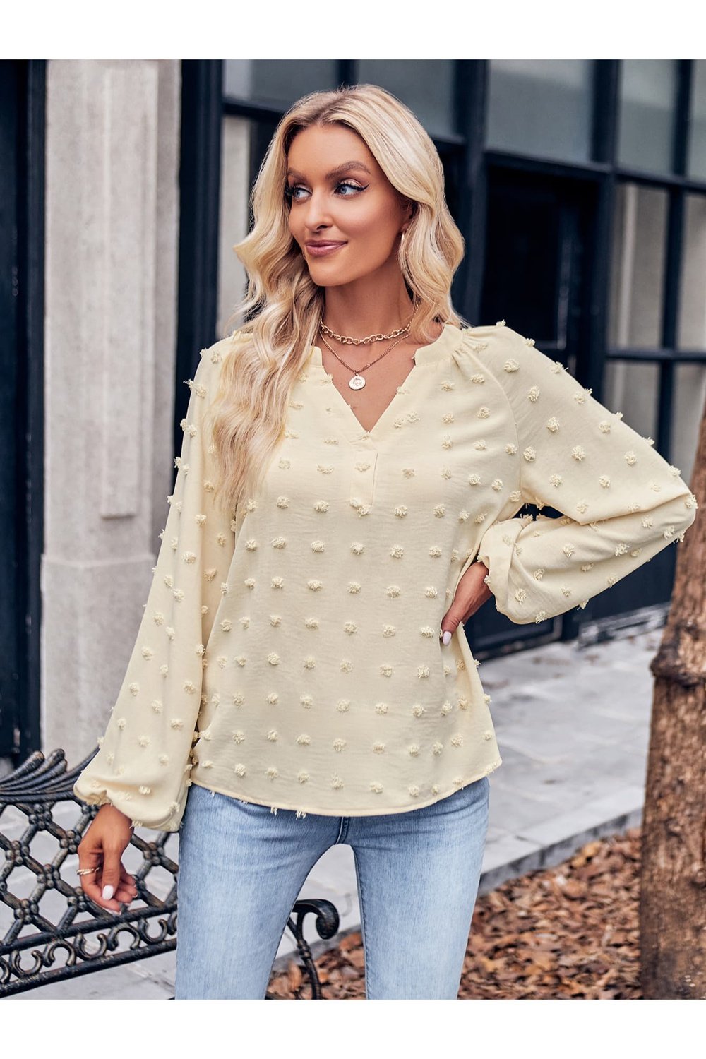 Swiss Dot Notched Neck Long Sleeve Blouse - Blouses - FITGGINS